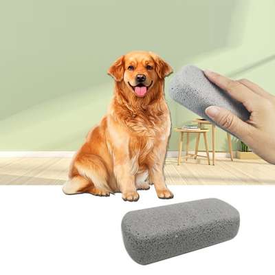 Hot Selling wholesale dog cat Eco-Friendly pet hair remover stone brush for cleaning